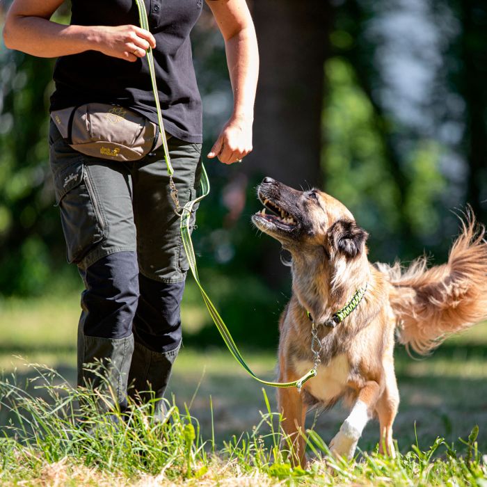 Correa 3 Posiciones De Nylon Reforzado Con Terciopelo