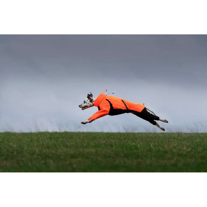 Non-stop dogwear Fjord overall raincoat