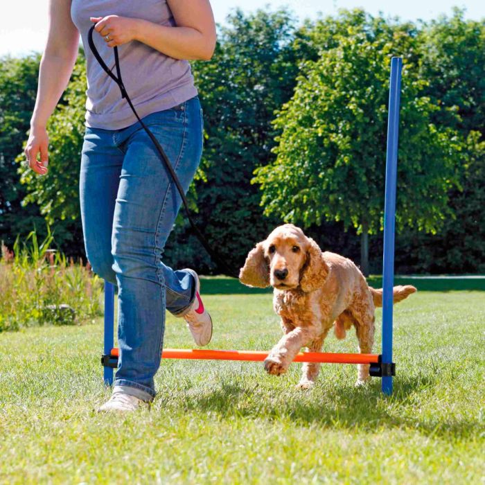 Trixie Valla para agility