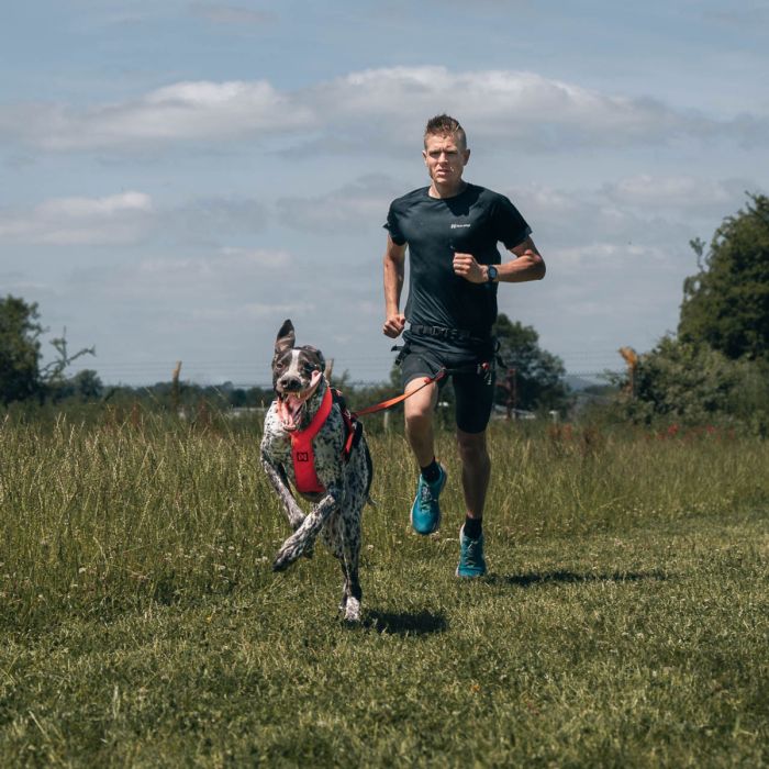 Non-stop dogwear Arnés Freemotion 5.0