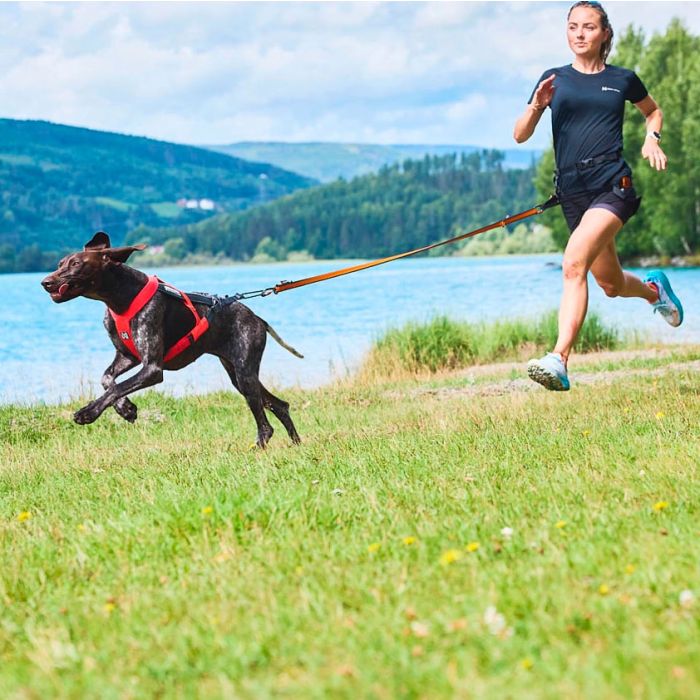 Non-stop dogwear Arnés Freemotion 5.0 rosa