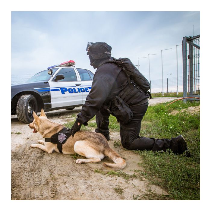 Julius-K9 Arnés IDC Stealth Powerharness