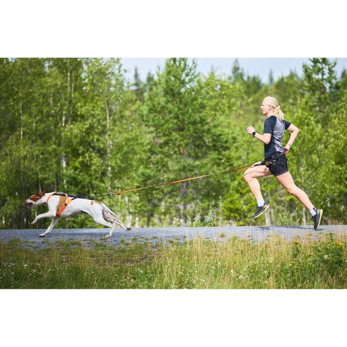 Non-stop dogwear Arnés Freemotion 5.0