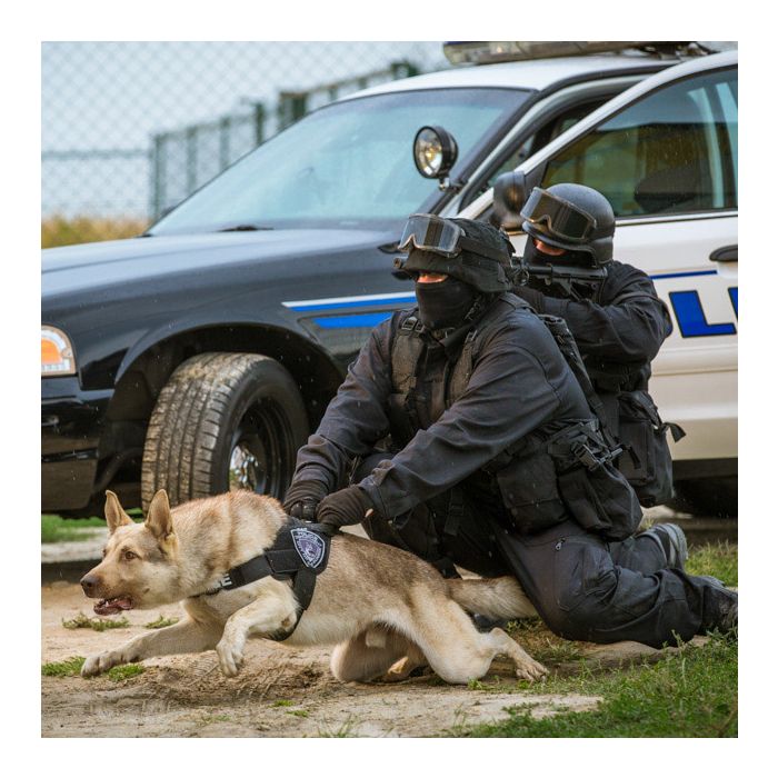 Julius-K9 Arnés IDC Stealth Powerharness