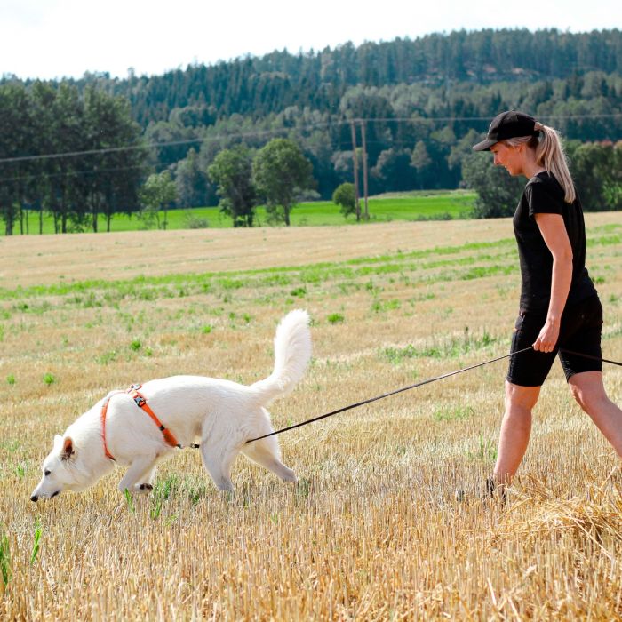 Non-stop dogwear Line Harness naranja
