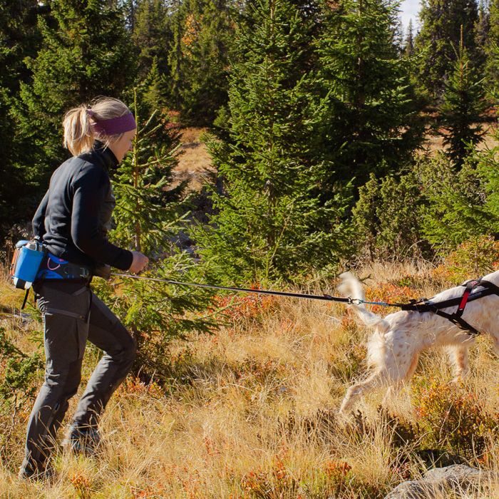 Non-stop dogwear Bolsa para Ferd Belt