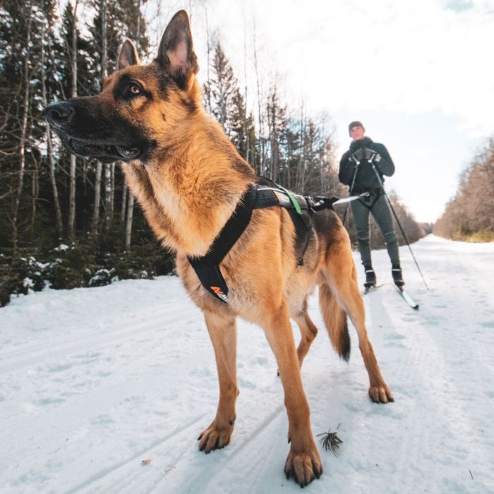 Non-stop dogwear Freemotion