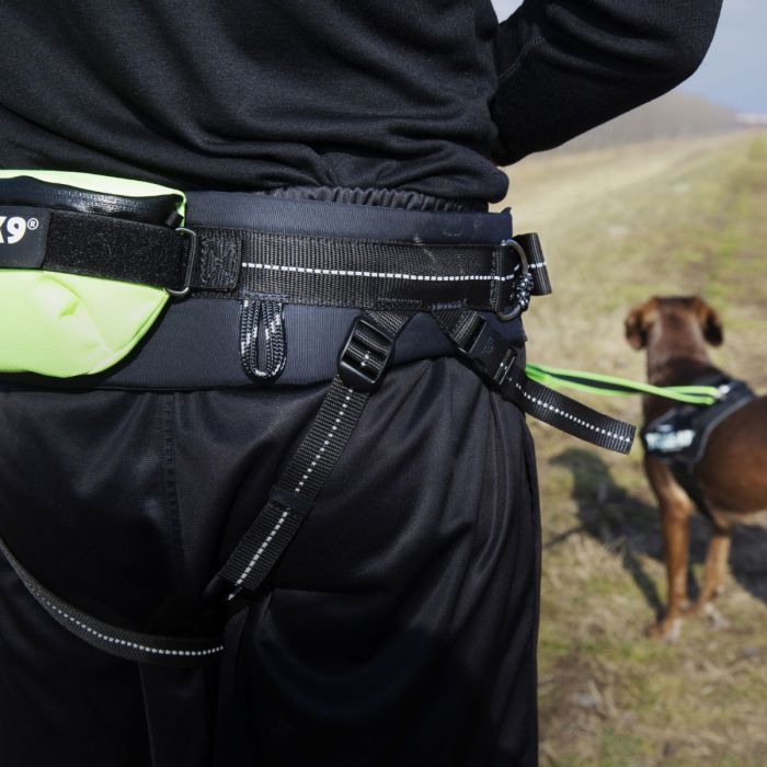 Julius-K9 Set premium de canicross