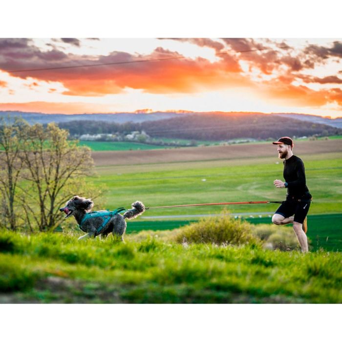 Non-stop dogwear Canix Belt 2.0