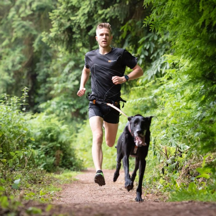 Non-stop dogwear CaniX Belt