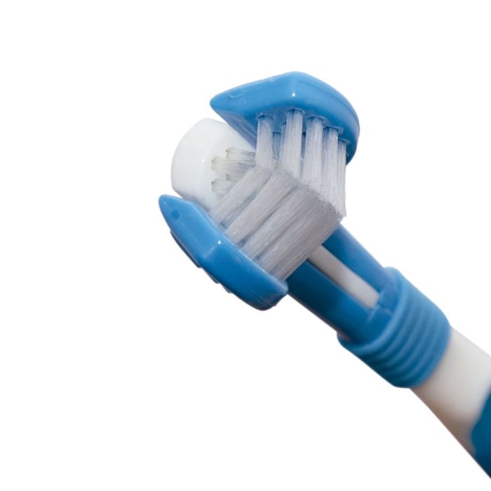 Stangest Kit dental Dentican