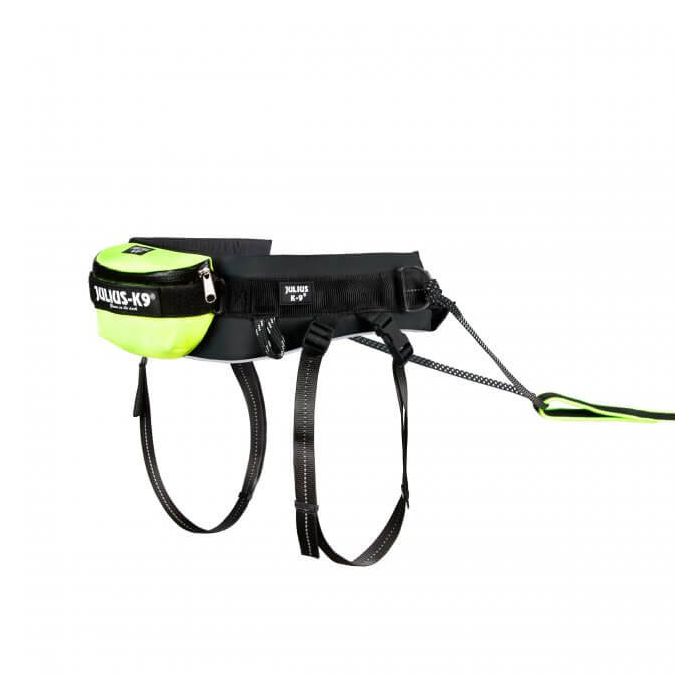 Julius-K9 Set premium de canicross