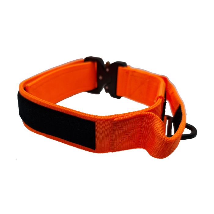 Euro Joe Collar táctico naranja con asa 38 mm