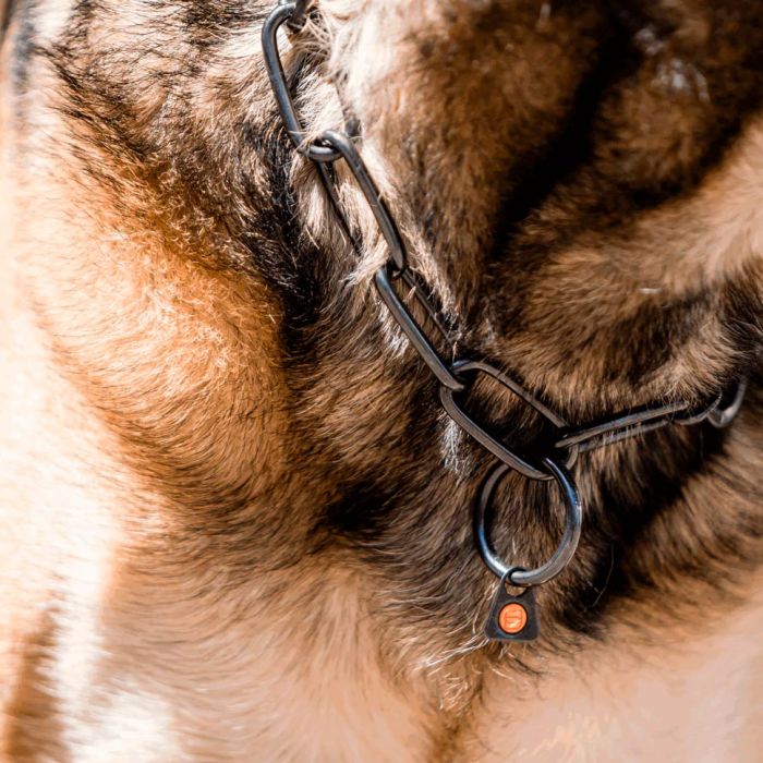 HS Sprenger Collar eslabón ajustable de acero inoxidable negro 4 mm