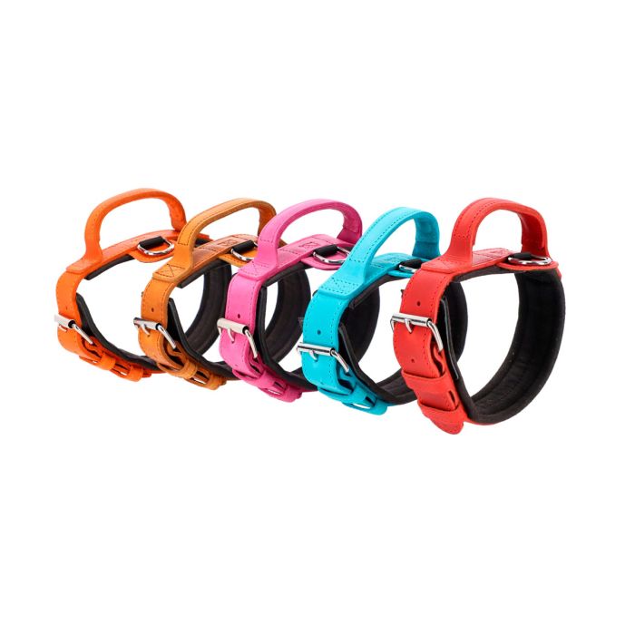 Dingo Gear Collar Drago rosa con asa 50 mm