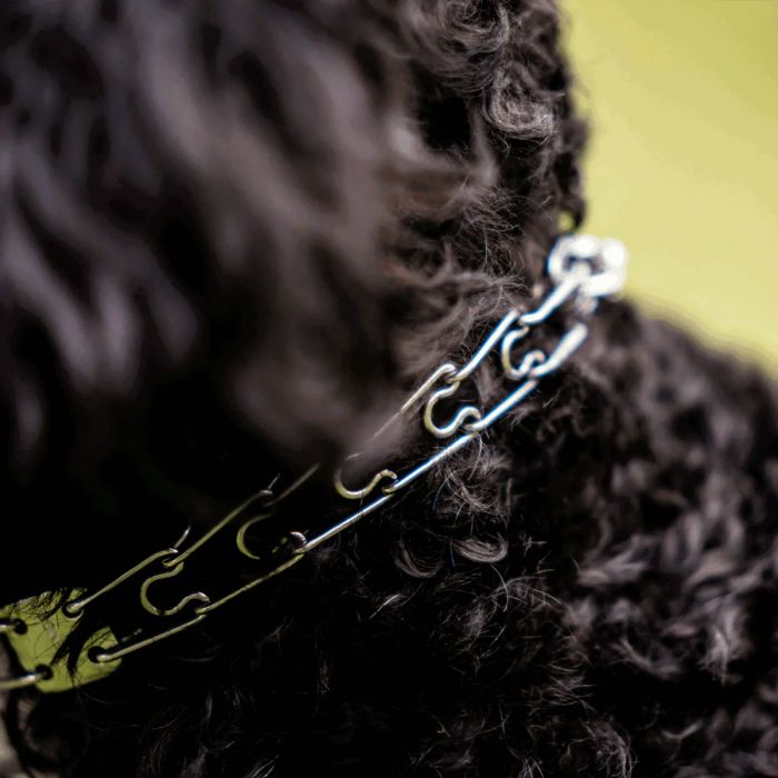 HS Sprenger Collar Ultra-Plus Micro Prong acero inoxidable 1,5 mm x 32 cm