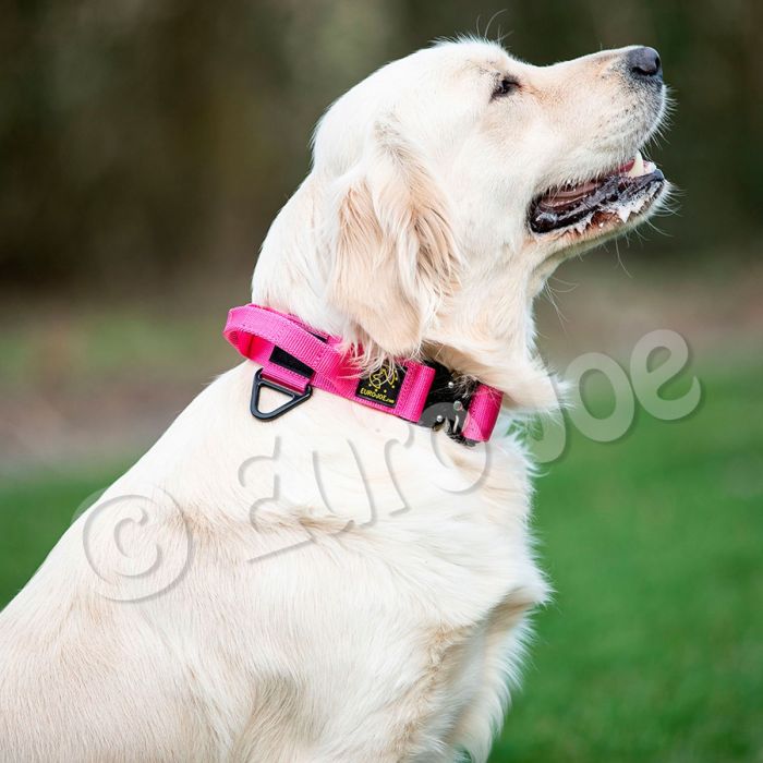 Euro Joe Collar táctico rosa con asa 38 mm