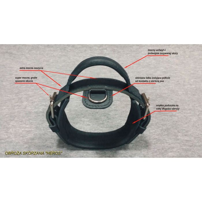Dingo Gear Collar Heros de cuero con asa 50 mm