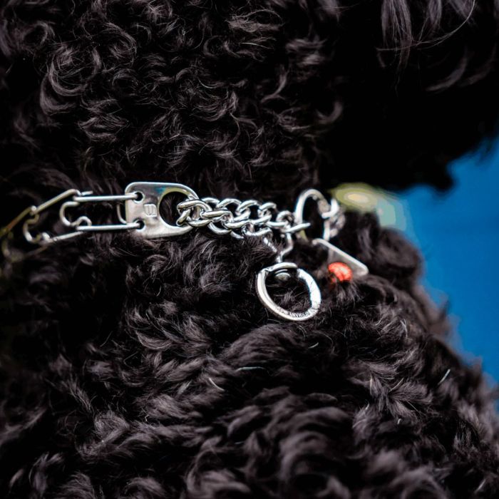 HS Sprenger Collar Ultra-Plus Micro Prong acero inoxidable giratorio 1,5 mm x 32 cm
