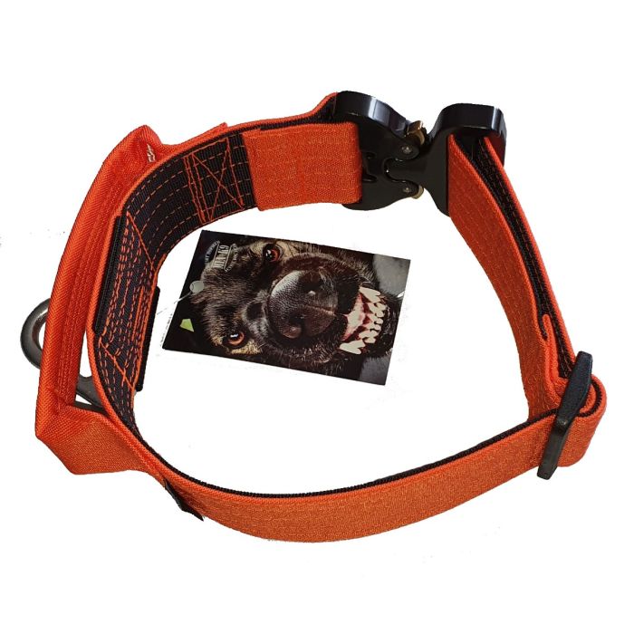 Mia K9 Collar naranja de cordura con asa y cierre cobra 50 mm