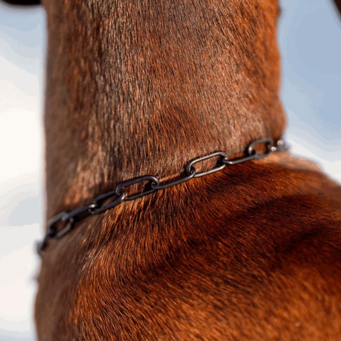 HS Sprenger Collar eslabón largo de acero inoxidable negro 2 mm