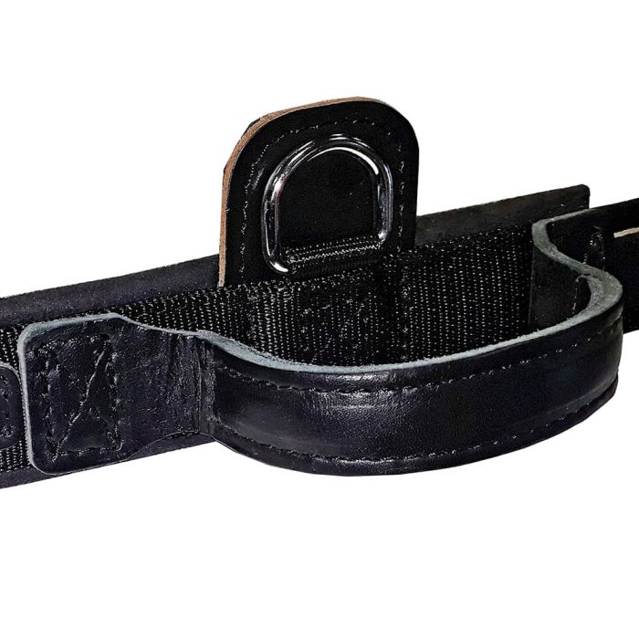 Dingo Gear Collar Drago con asa 50 mm