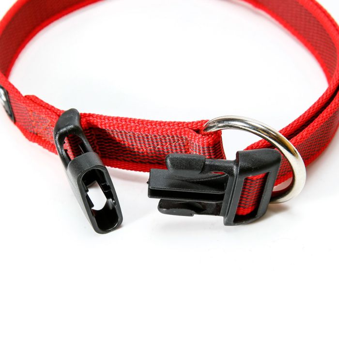 Julius-K9 Collar color & gray rojo