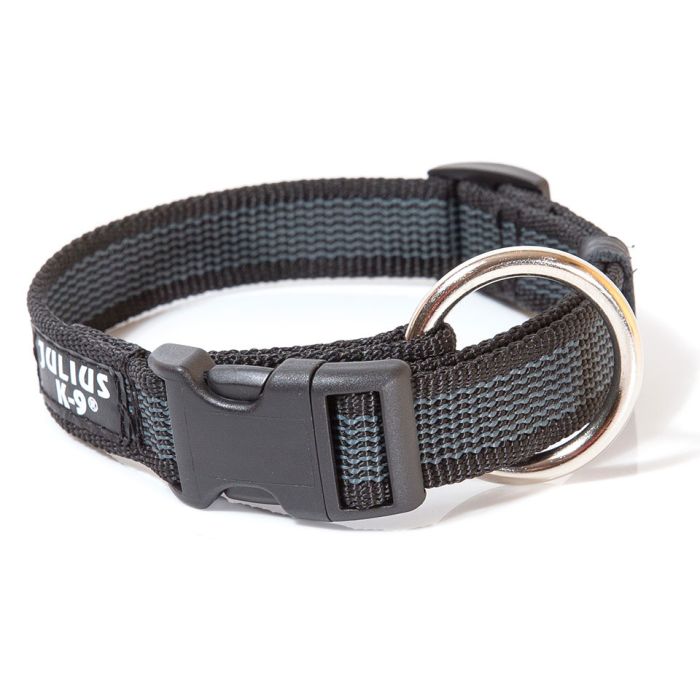 Julius-K9 Collar color & gray negro