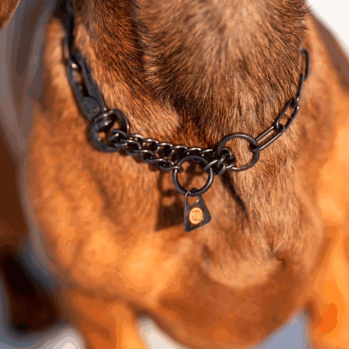 HS Sprenger Collar eslabón largo con gancho de acero inoxidable negro 2 mm