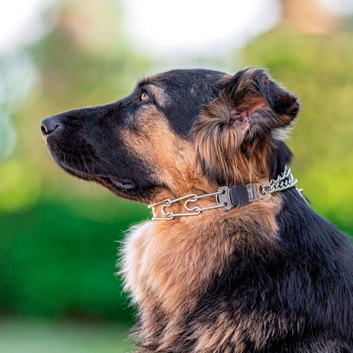 HS Sprenger Collar Ultra-Plus acero inoxidable giratorio con cierre ClicLock