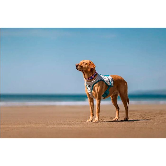 Non-stop dogwear Cooling vest