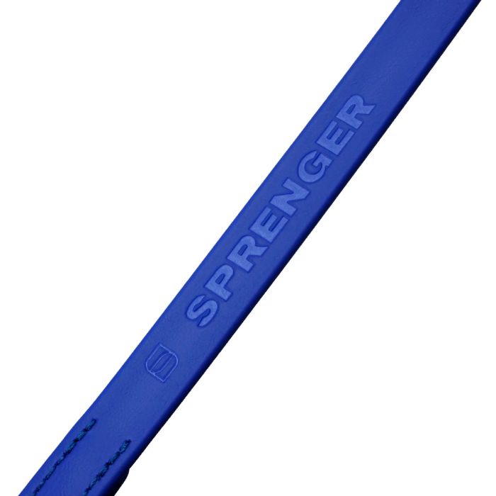 HS Sprenger Correa corta azul de Biothane 19 mm x 30 cm