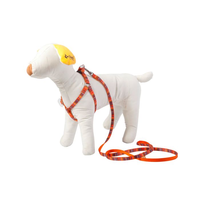 Dingo Correa para perros pequeños 10 mm x 1,30 m