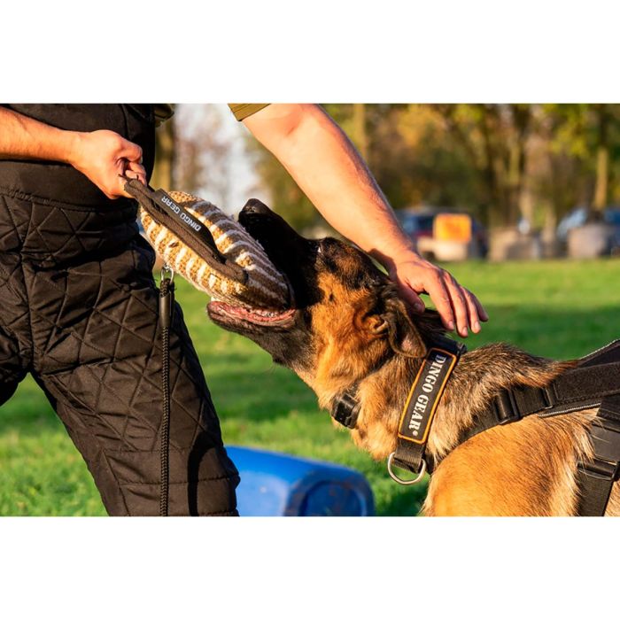 Dingo Gear Corrector de mordida de yute reforzado
