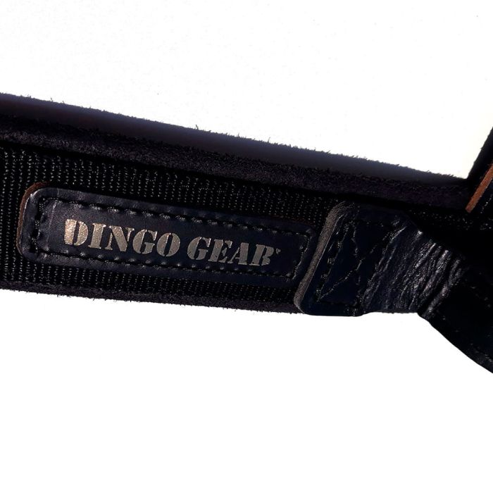 Dingo Gear Collar Drago con asa 50 mm