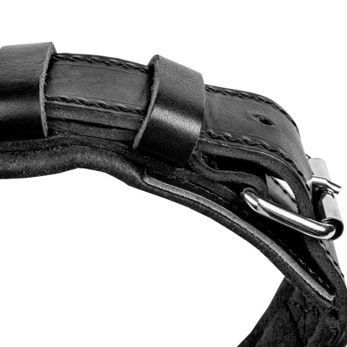 Dingo Gear Collar Drago de cuero con asa 50 mm
