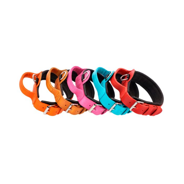 Dingo Gear Collar Drago rosa con asa 50 mm