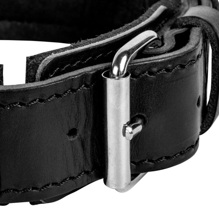 Dingo Gear Collar Drago de cuero con asa 50 mm