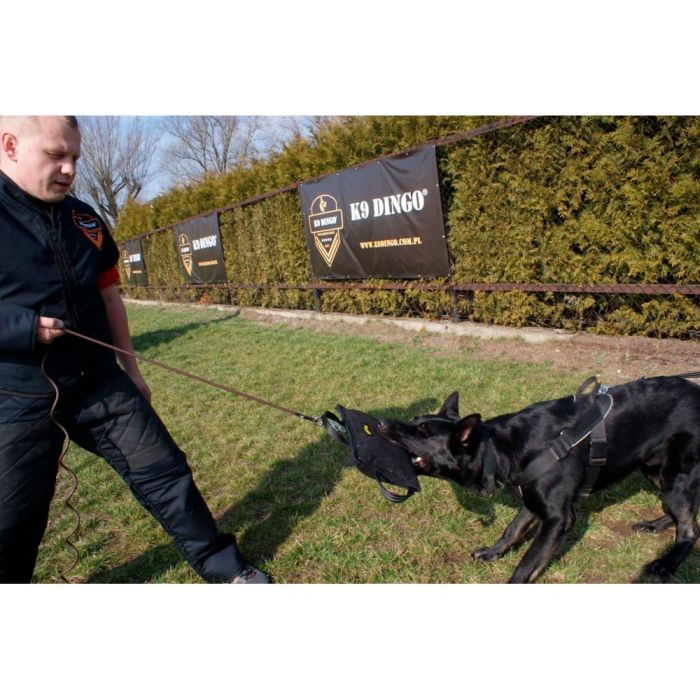 Dingo Gear Corrector de mordida reforzado de tela francesa