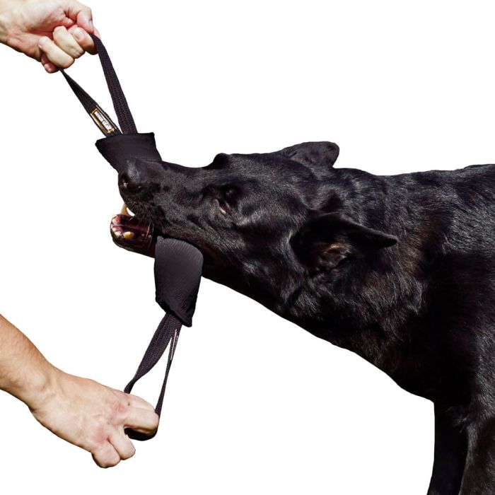 Dingo Gear Mordedor negro de tela francesa con dos asas
