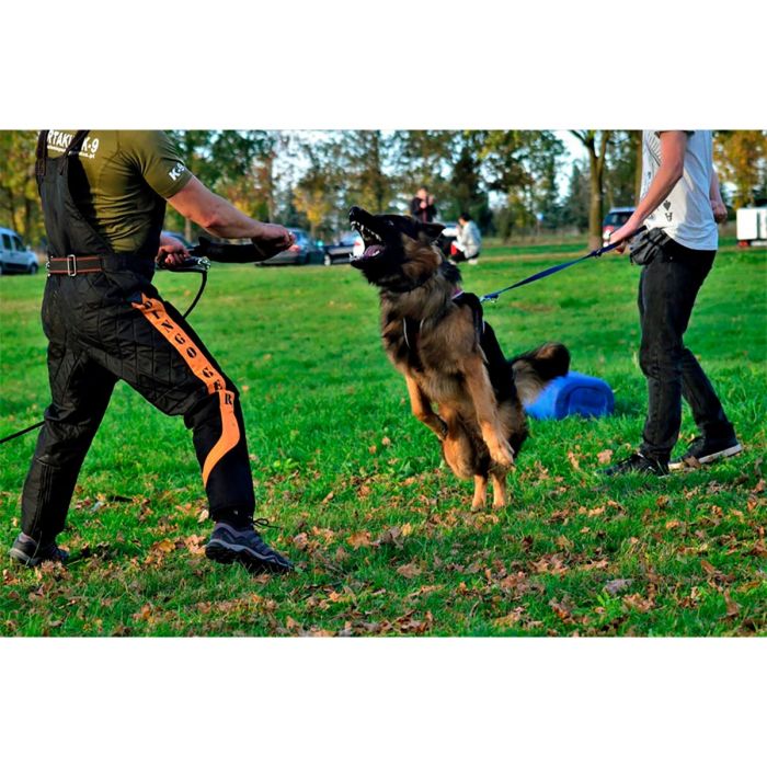 Dingo Gear Traje de entrenamiento con capucha