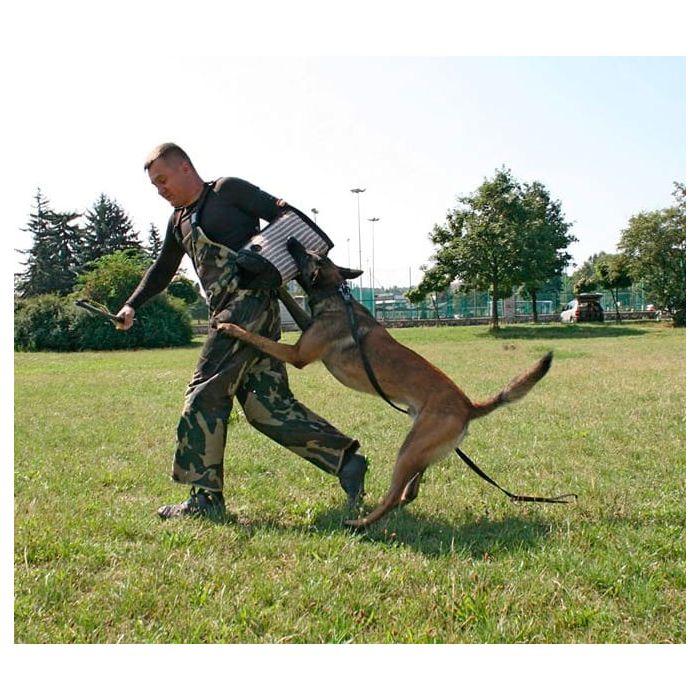 Dingo Gear Manga de entrenamiento de yute