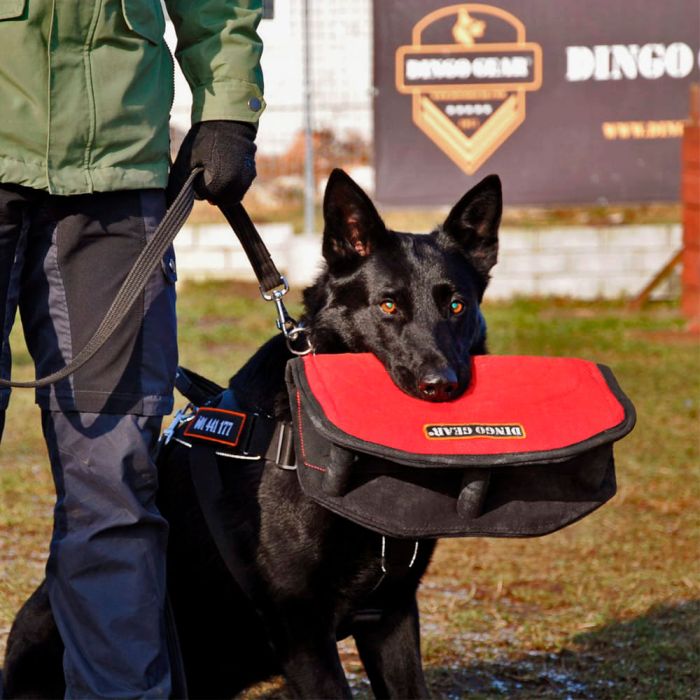 Dingo Gear Cuña de tela francesa