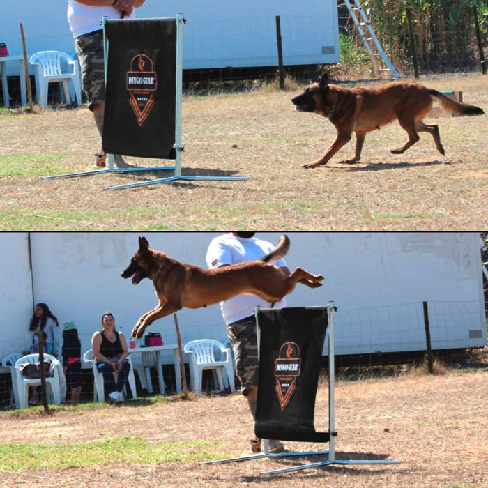 Dingo Gear Salto portatil IGP