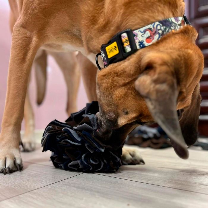Dingo Bola olfativa de 18 cm