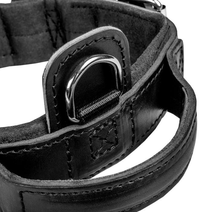 Dingo Gear Collar Drago de cuero con asa 50 mm