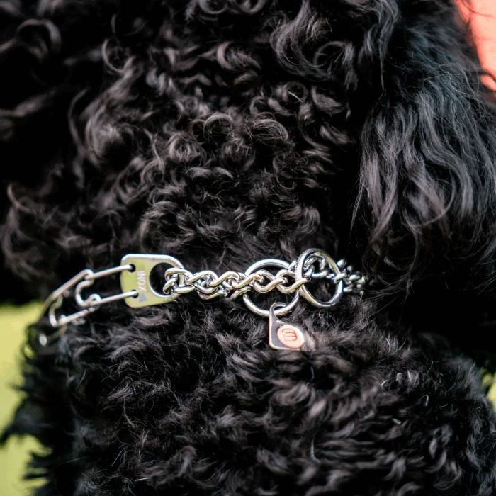 HS Sprenger Collar Ultra-Plus Micro Prong acero inoxidable 1,5 mm x 32 cm