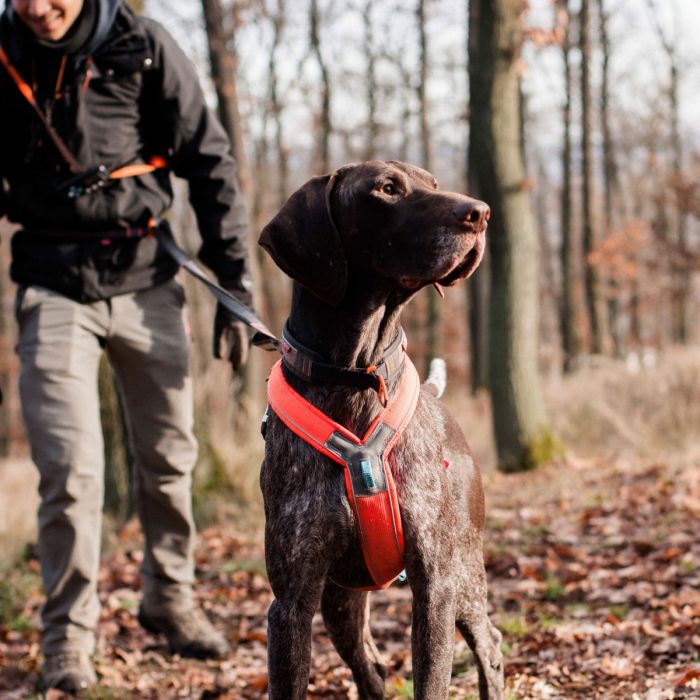 Non-stop dogwear Line Harness naranja