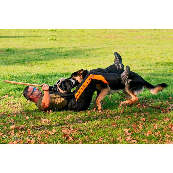 Dingo Gear Traje de entrenamiento con capucha