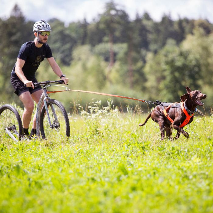 Non-stop dogwear Arnés Freemotion 5.0